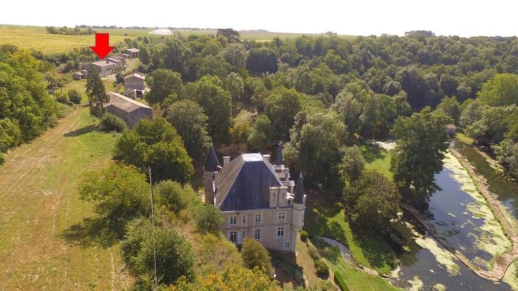 Chateau Des Loups - Les Cedres Bleus Echire Exterior foto