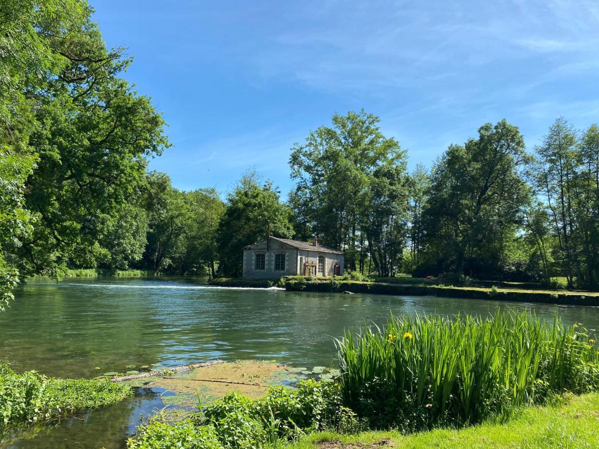 Chateau Des Loups - Les Cedres Bleus Echire Exterior foto